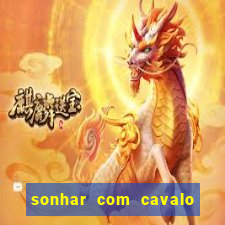 sonhar com cavalo morto jogo do bicho